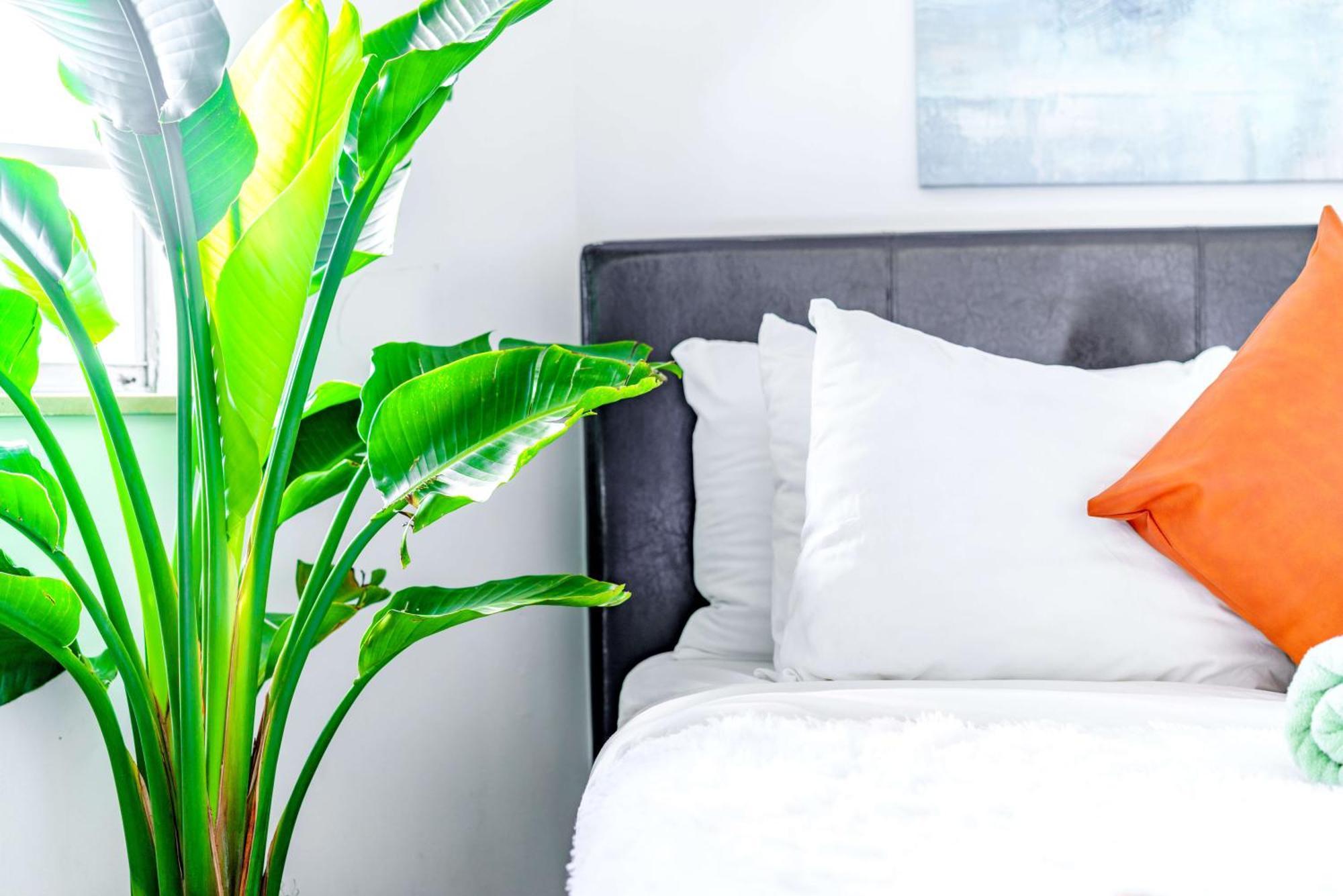 Short North Convention Private Parking Pets Appartement Columbus Buitenkant foto