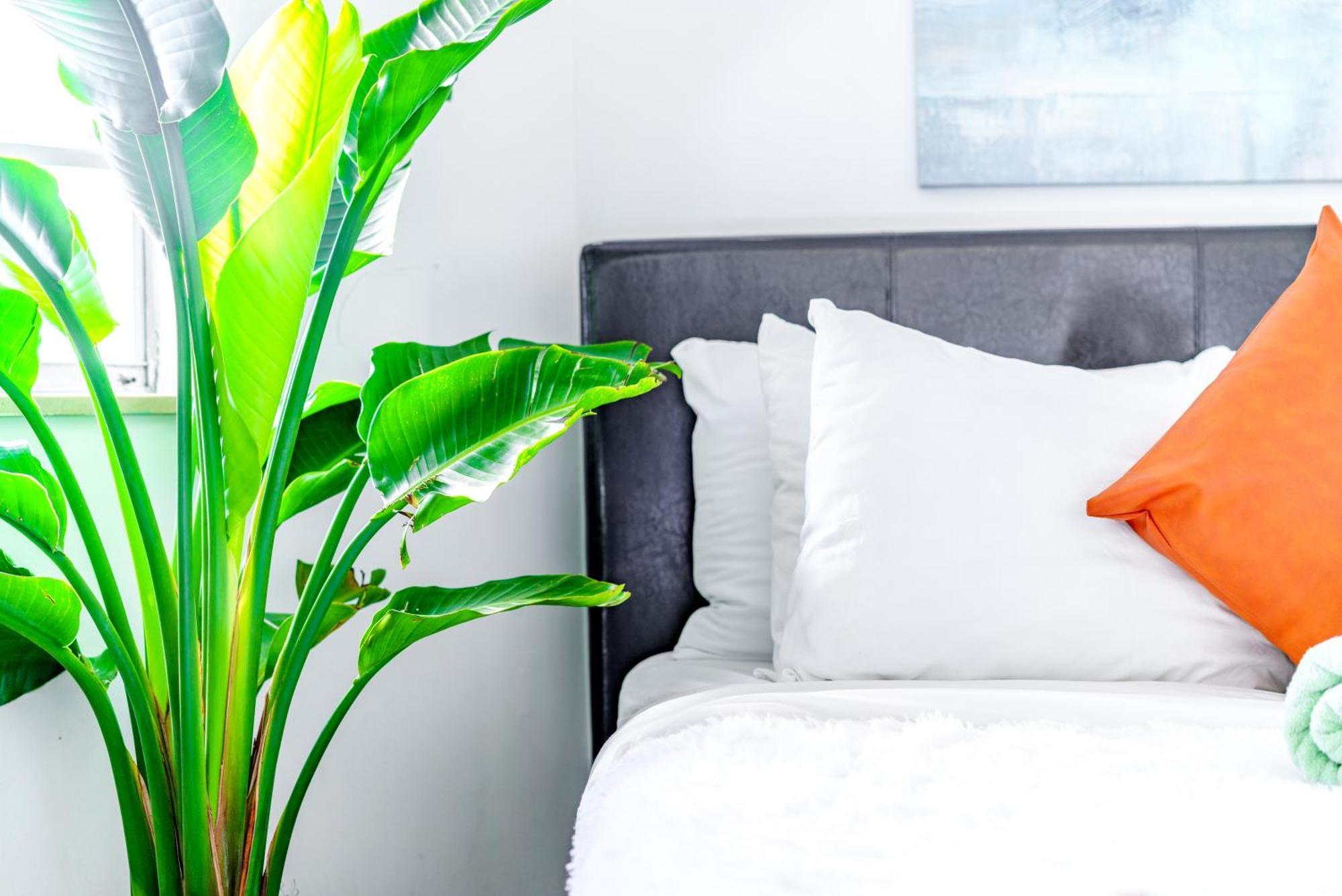 Short North Convention Private Parking Pets Appartement Columbus Buitenkant foto